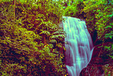 Waterfall in jungles