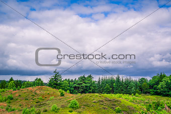 Cloudy weather over green trees