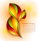 Autumn abstract vector background. Orange leaves