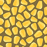 Corn closeup seamless background.
