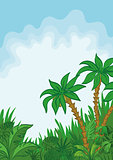Exotic landscape, palm and plants