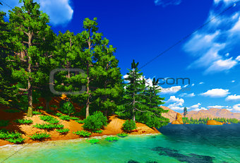 Forested shore over ocean