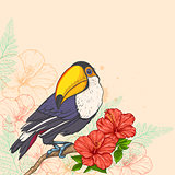 Background with flowers and toucan