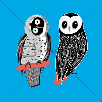 two owls on blue