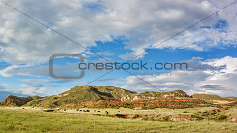 Red Mountain Open Space panorama