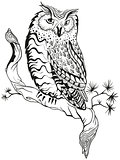 Owl sits on tree branch. Graphic design
