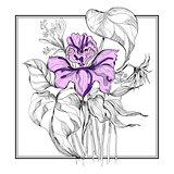 sketch flower bouquet in frame