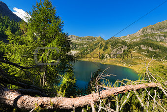 Lago di Campo - Adamello Trento Italy