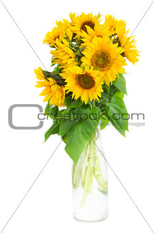 bouquet of bright sunflowers