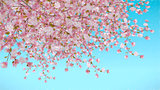 Painted cherry blossom on blue background