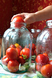 tomatos in jars prepared for preservation