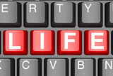  Life button on modern computer keyboard