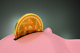 Putting Bitcoin Into Piggy Bank