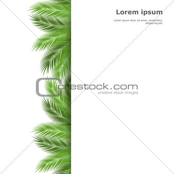 palm template
