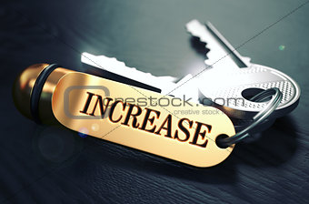 Keys with Word Increase on Golden Label.