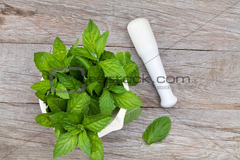 Fresh mint in mortar on garden table