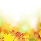 Autumn background with maple leaves