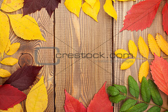 Autumn leaves over wood background with copy space