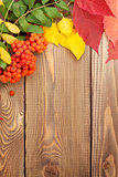 Autumn leaves and rowan berries over wood background