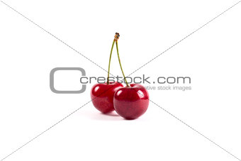 Nice and juicy cherries on a white background