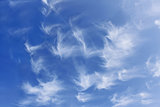 Group of fanciful white clouds