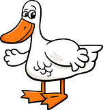 duck bird farm animal cartoon