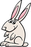 rabbit farm animal cartoon