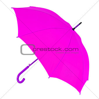 purple umbrella on a white background