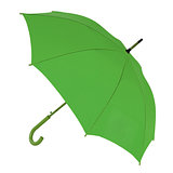dark green umbrella on a white background