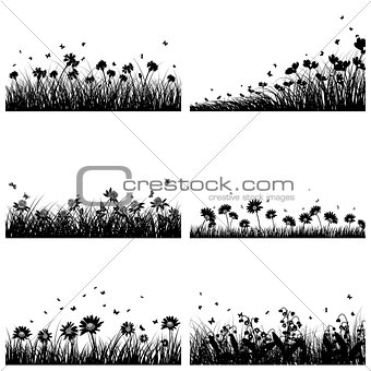 6 Meadow Backgrounds 