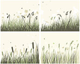 4 Meadow Backgrounds