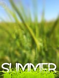 Abstract green blurred summer background