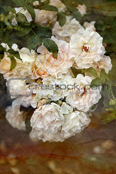 background bright roses