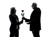 couple senior lovers flower rose  silhouette