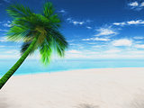 3D Palm tree landscape with abstract effect