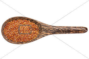red quinoa grain on wooden spoon