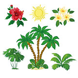 Sun, Palm Trees, Flowers and Leaves