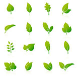Set of green leaf icons on white background