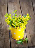 Beautiful summer yellow flowers