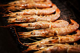 Delicious langoustines  on grill
