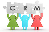 CRM - Customer Relationship Management puzzle in a line
