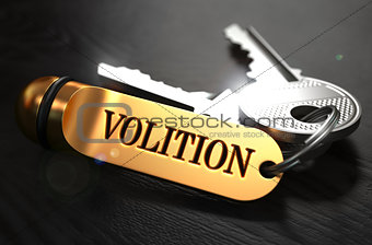 Volition Concept. Keys with Golden Keyring.