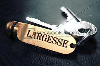 Largesse Concept. Keys with Golden Keyring.