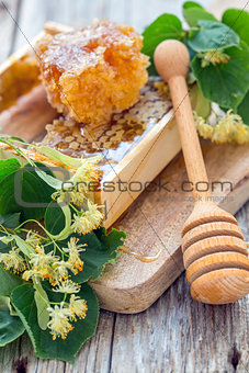 Linden blossom, honey and wooden spoon.