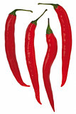 Red chili pepper 