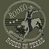 Rodeo cowboy riding a wild bull silhouette