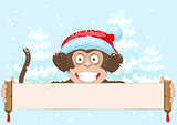 Christmas monkey in santa hat symbol 2016 year holding banner