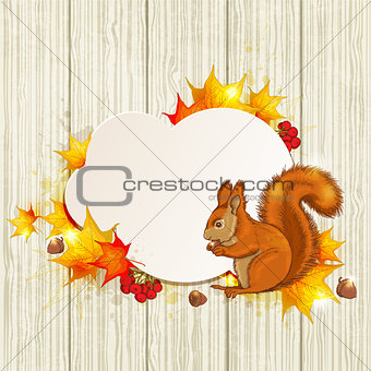 Fluffy squirrel and maple leaves