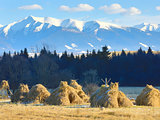 haystack's on Tatra mountains background