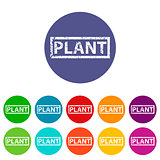 Plant flat icon